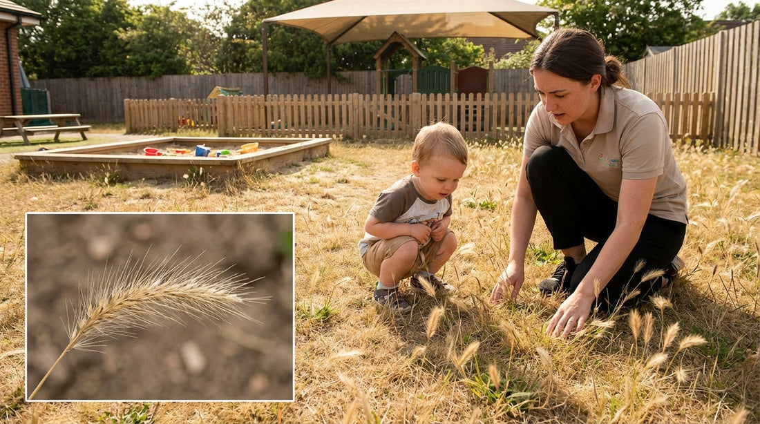 Spigaou en crèche : comment protéger votre enfant du danger